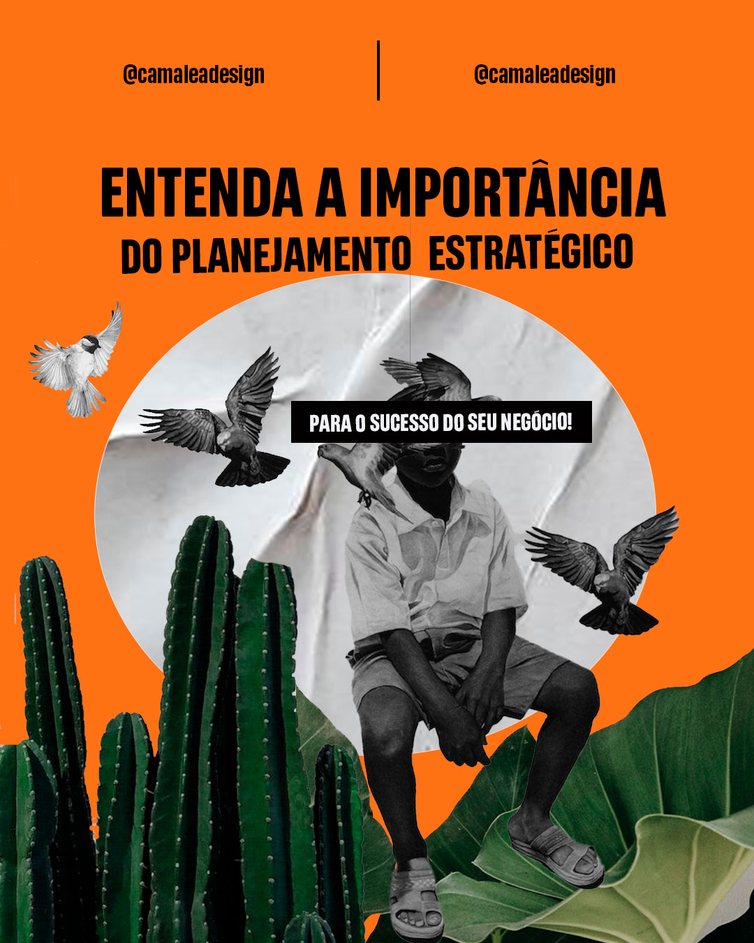 CAMALEÃO